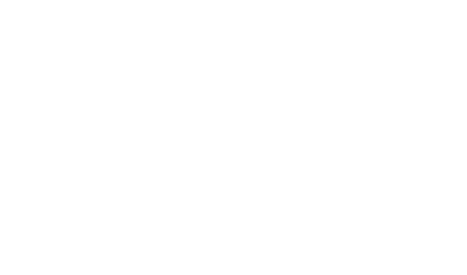 IT Max Global